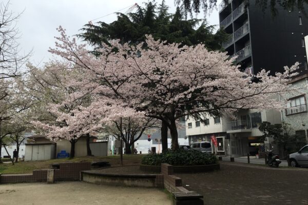 今日から新年度