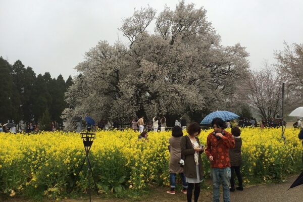 行ってみたかった場所